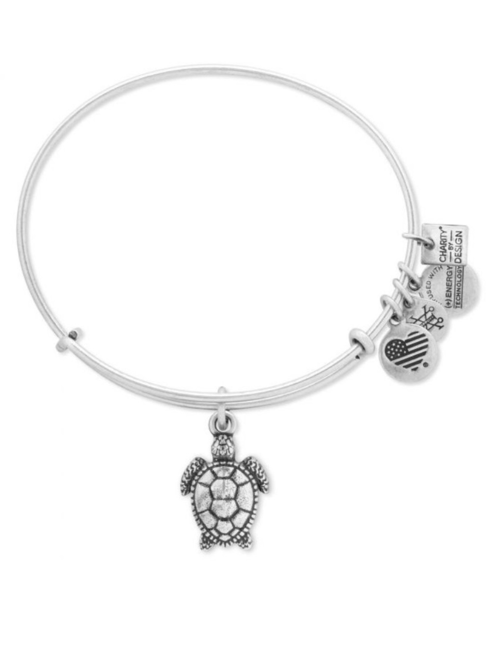 Alex and Ani Turtle Charm Bracelet - Silver